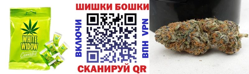 Canna-Cookies марихуана  Купить где  Новоалександровск 