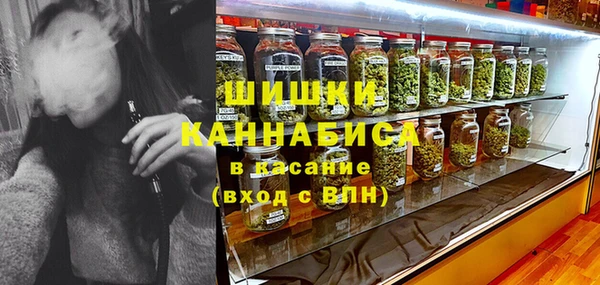 винт Дмитриев