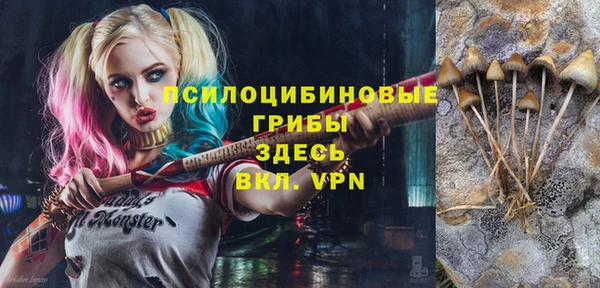 ALPHA PVP Дмитровск