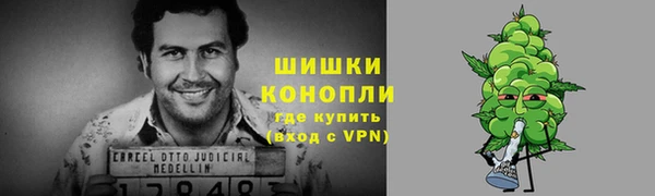 винт Дмитриев