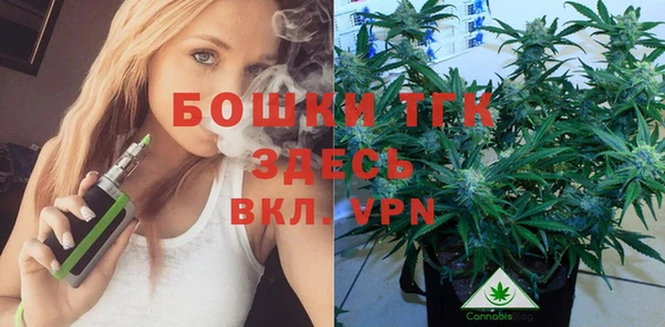 винт Дмитриев
