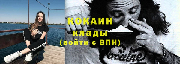 винт Дмитриев