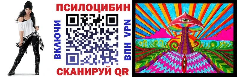 Купить где  Новоалександровск  Галлюциногенные грибы Cubensis 